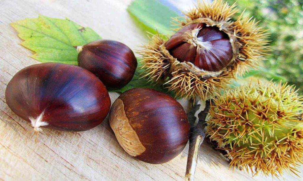 Castagne