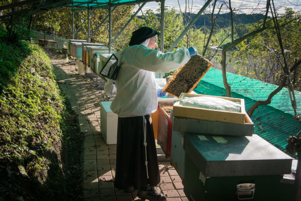 Le Clarisse del monastero di Attimis raccolgono il miele