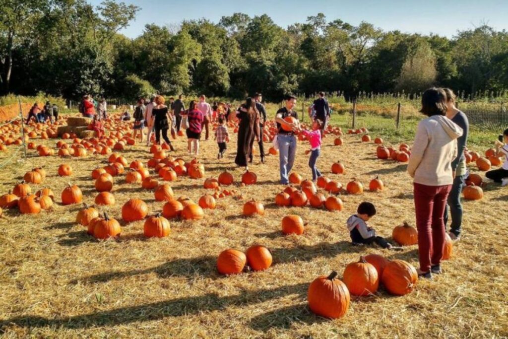 Halloween è una delle ricorrenze pagane più festeggiate a New York.