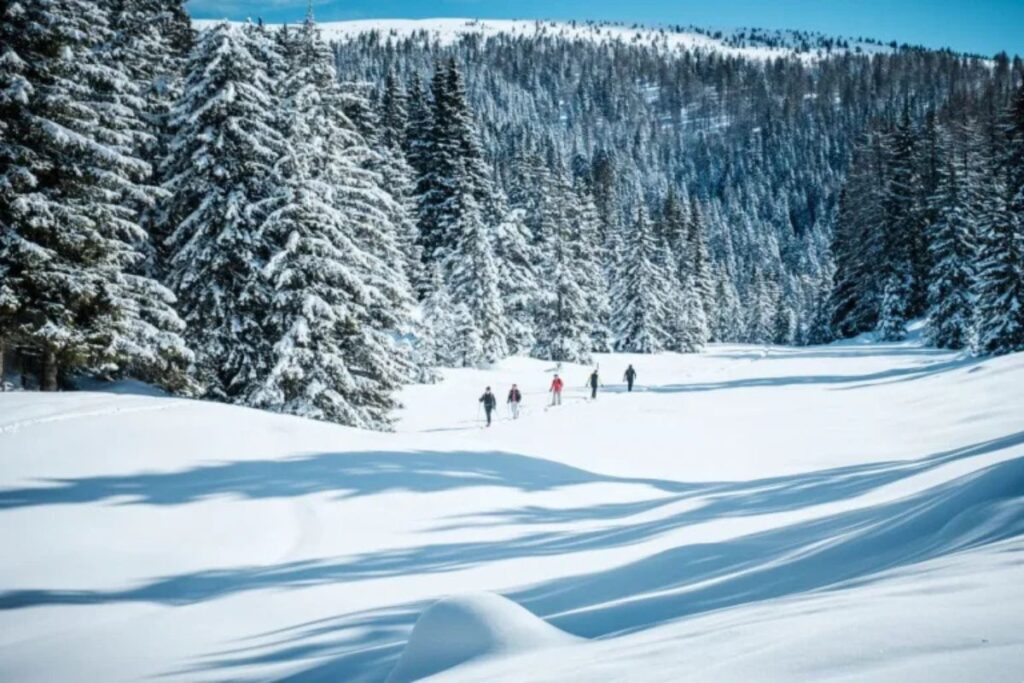 Panorama completamente innevato in SudTirol