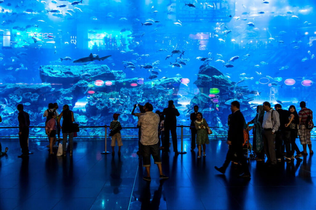 Per chi viaggia in famiglia, i parchi a tema e l'acquario gigante all'interno del Dubai Mall sono tappe obbligate